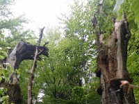 Wehikul 25 lat SKT (66)